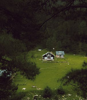 Charming cabins nestled in lush greenery surrounded by towering evergreen trees in a serene forest setting.