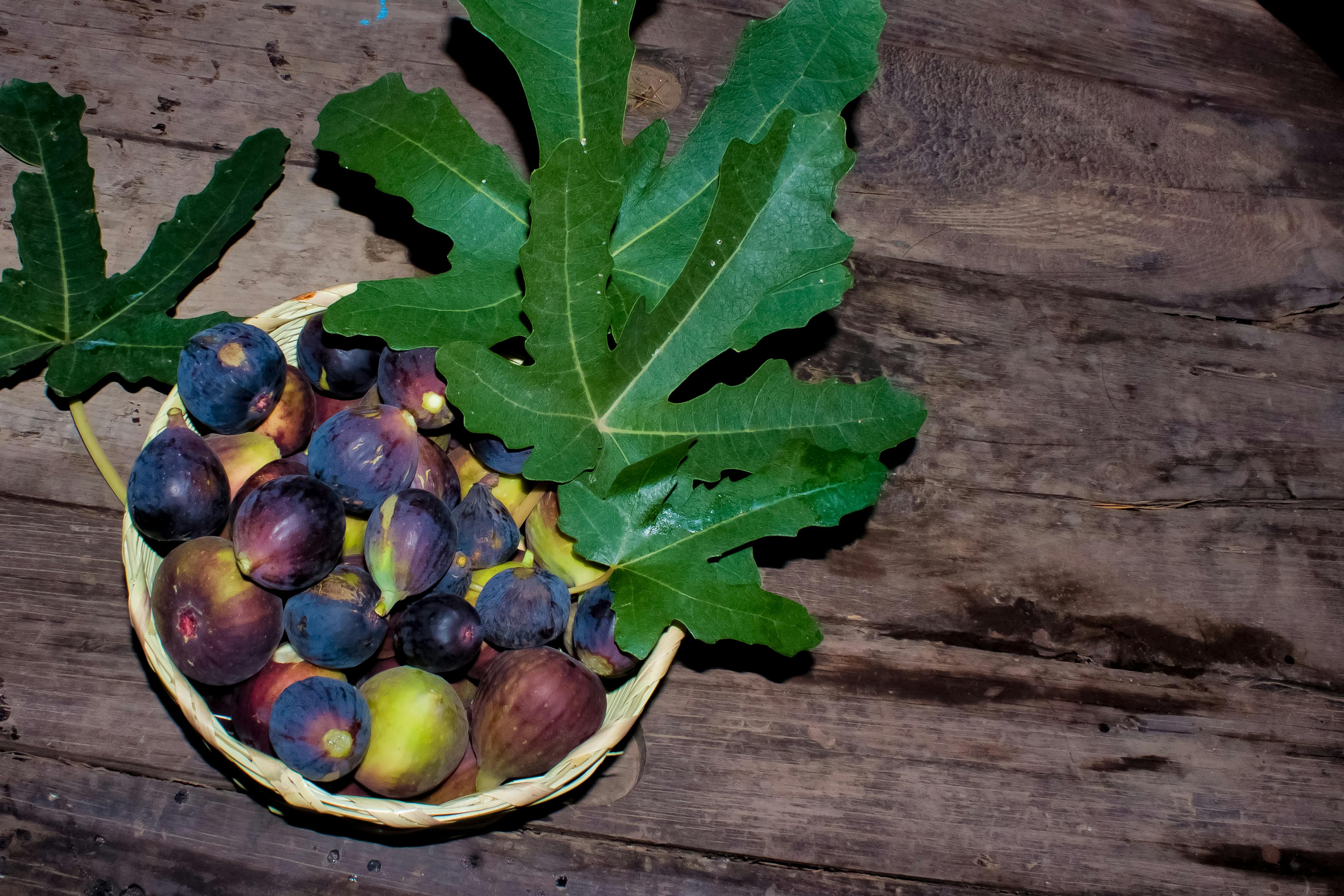 Sports arena with bright lights and a cheering crowd