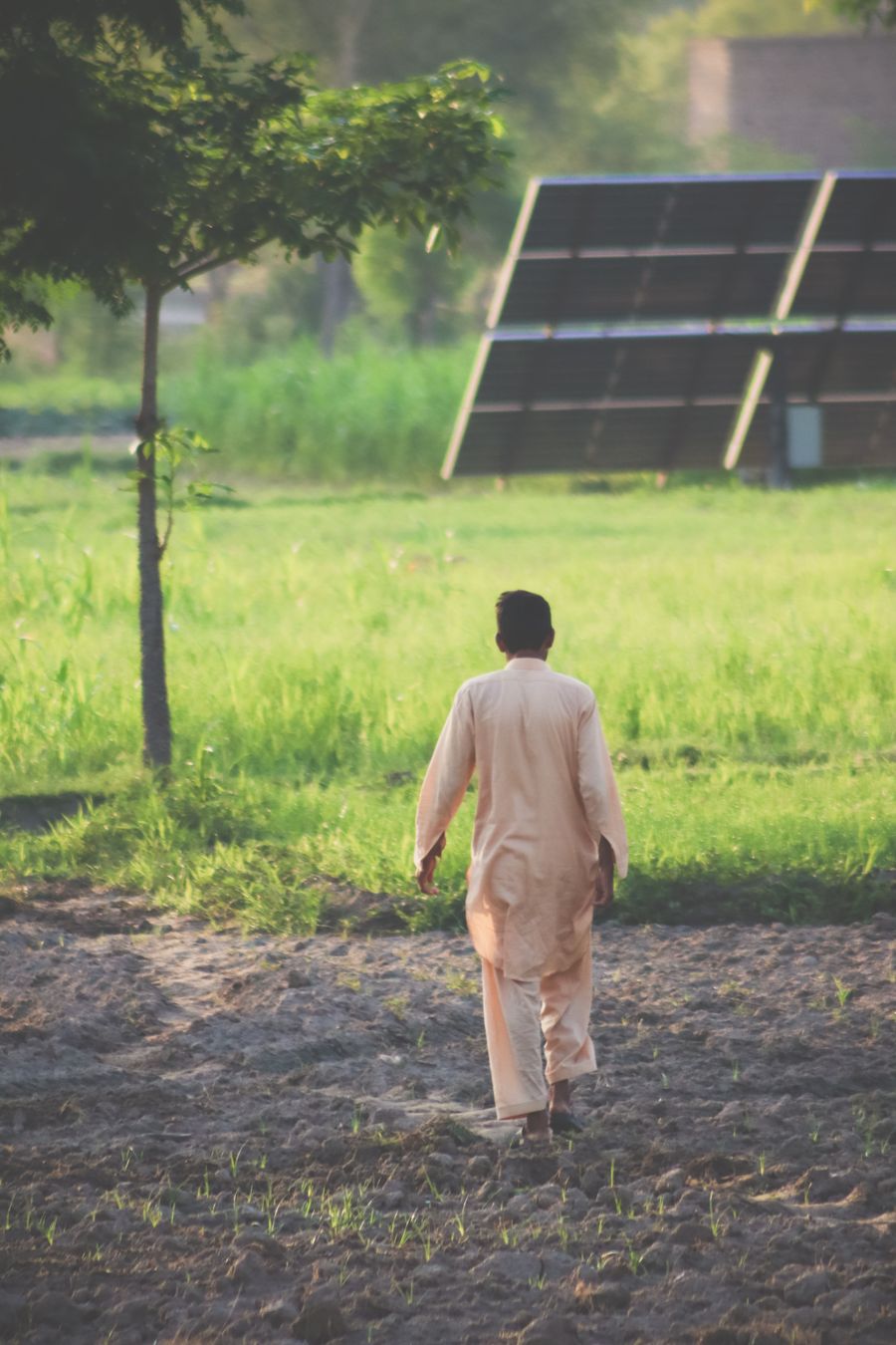 Solar panels powering irrigation in a farm field