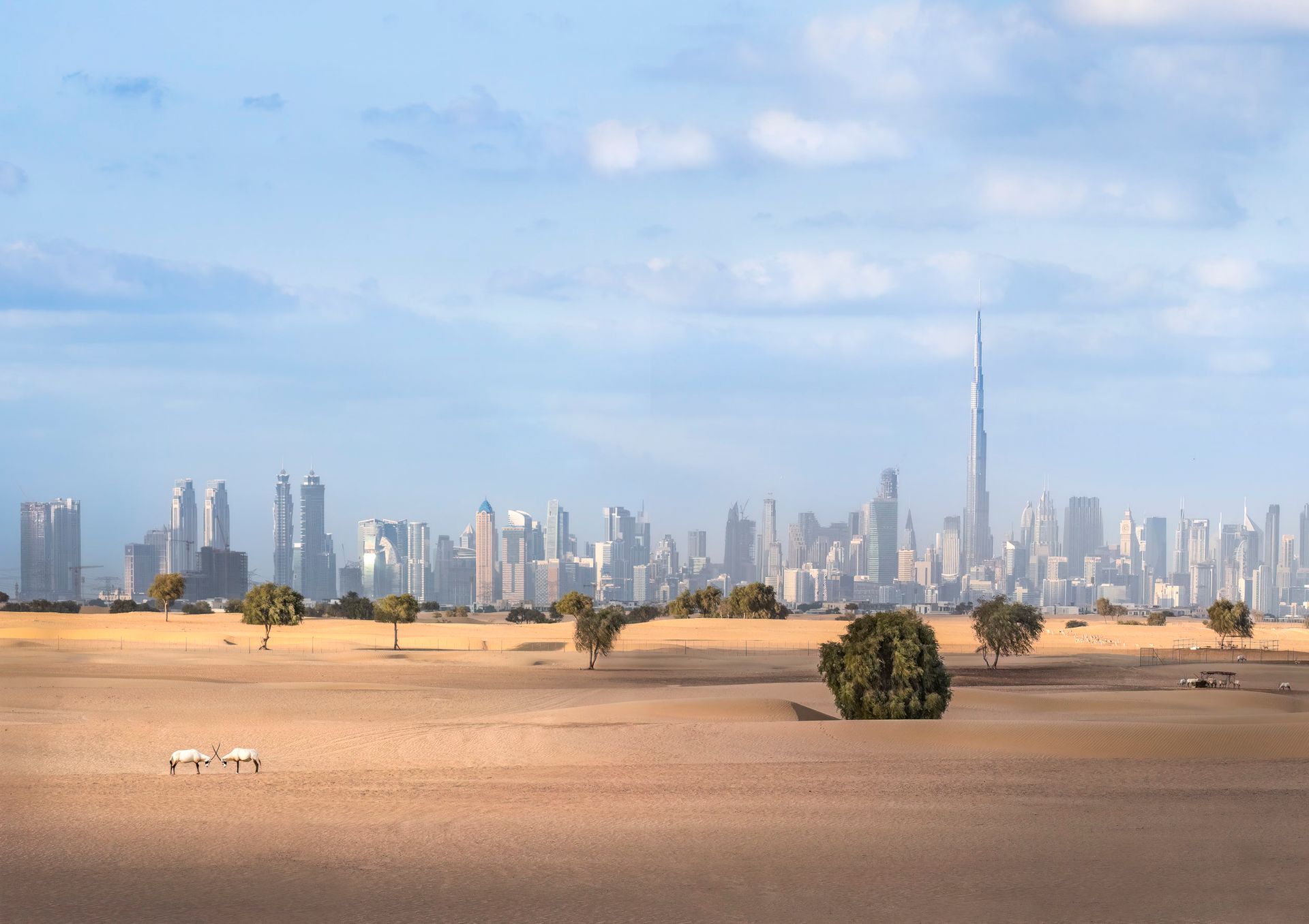 Silhouette de Dubaï avec le désert au crépuscule