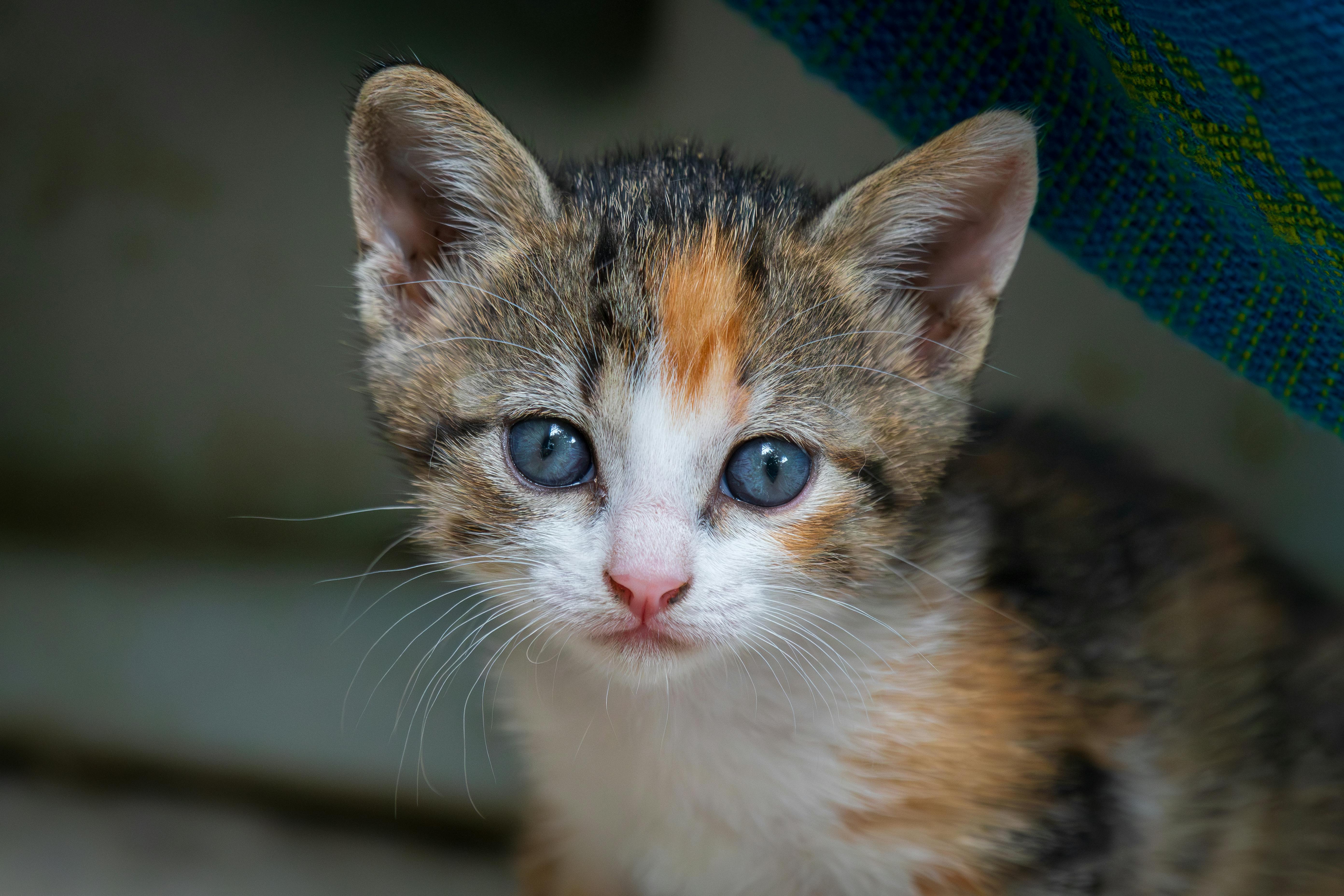 Safety Precautions and When to Consult a Healthcare Provider