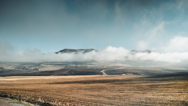A captivating view of fog rolling over highland fields in Sétif, Algeria.