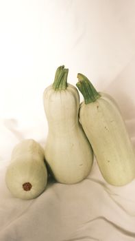 A close-up of three white squash on a white background, highlighting their textures.