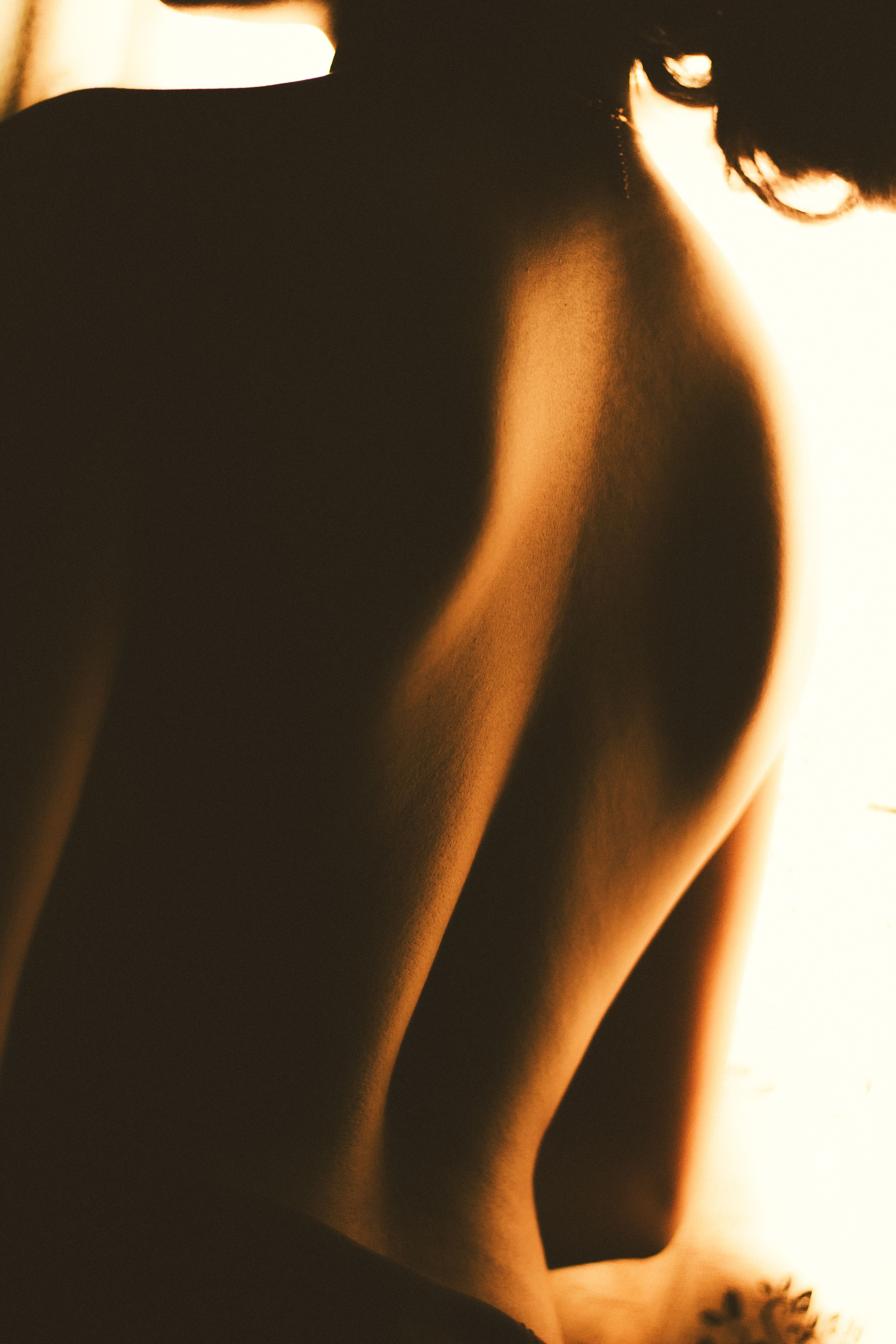 A moody and artistic silhouette capturing a woman's back, highlighted by warm ambient light.