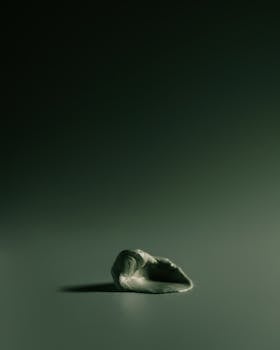 Simple and elegant seashell in focus against a dark, minimalist background.