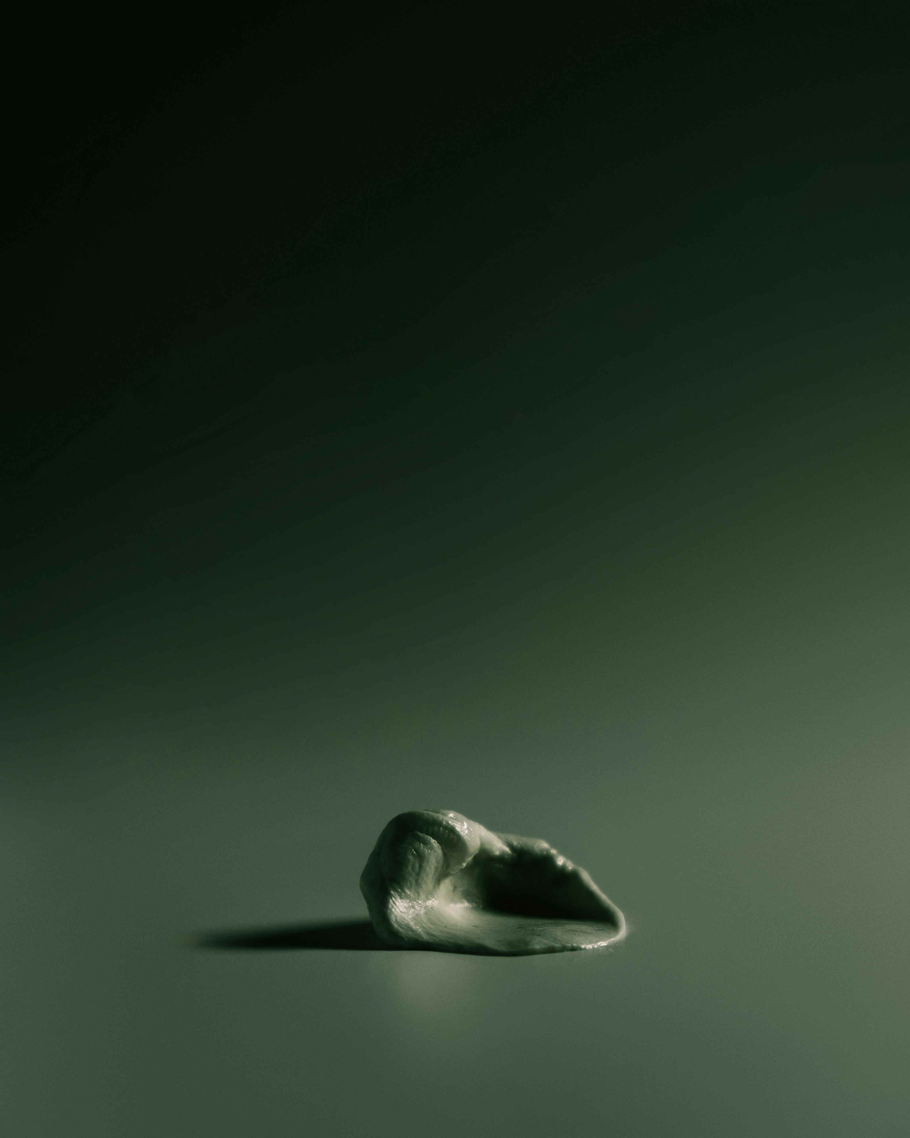 Free Simple and elegant seashell in focus against a dark, minimalist background. Stock Photo