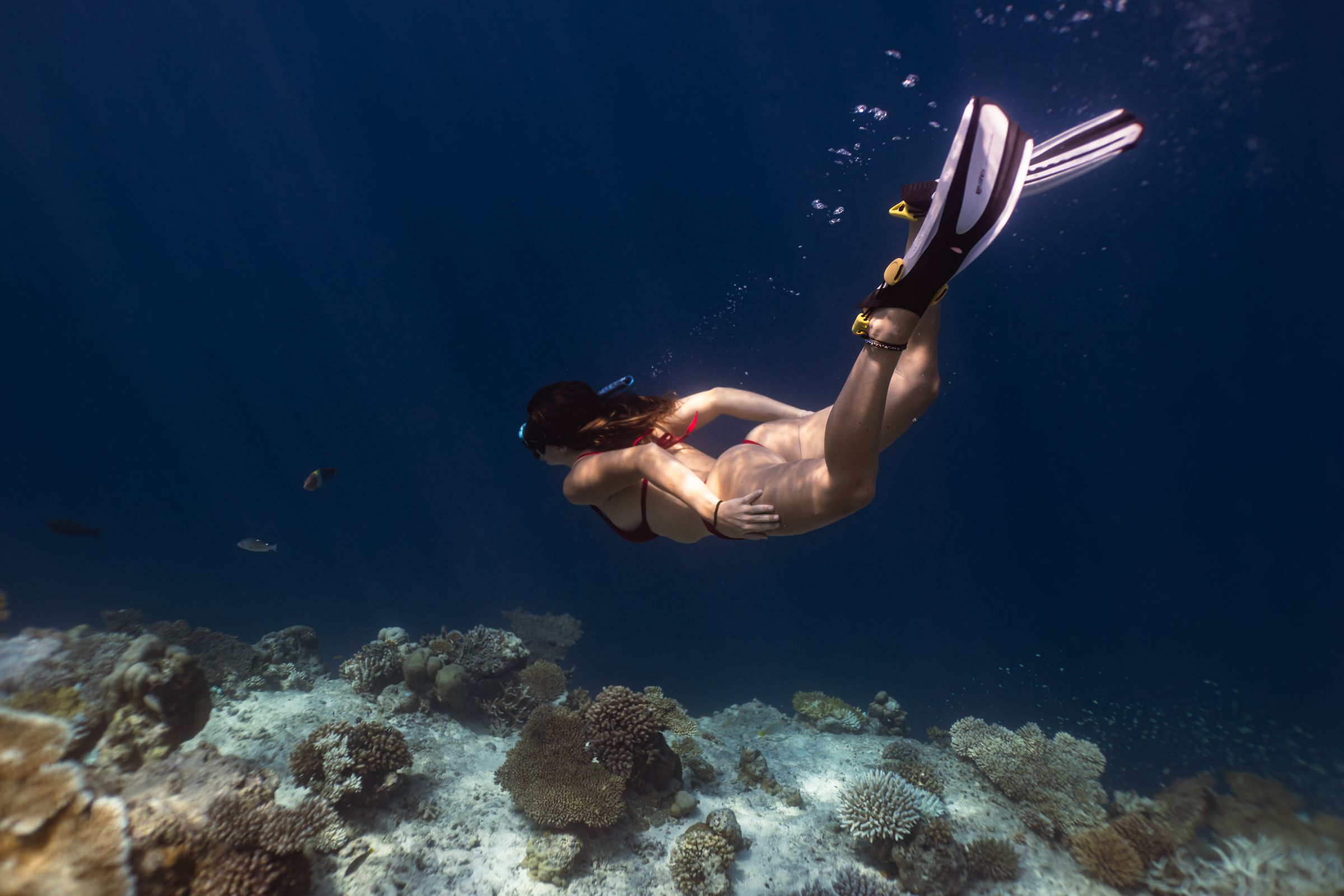 Great Barrier Reef