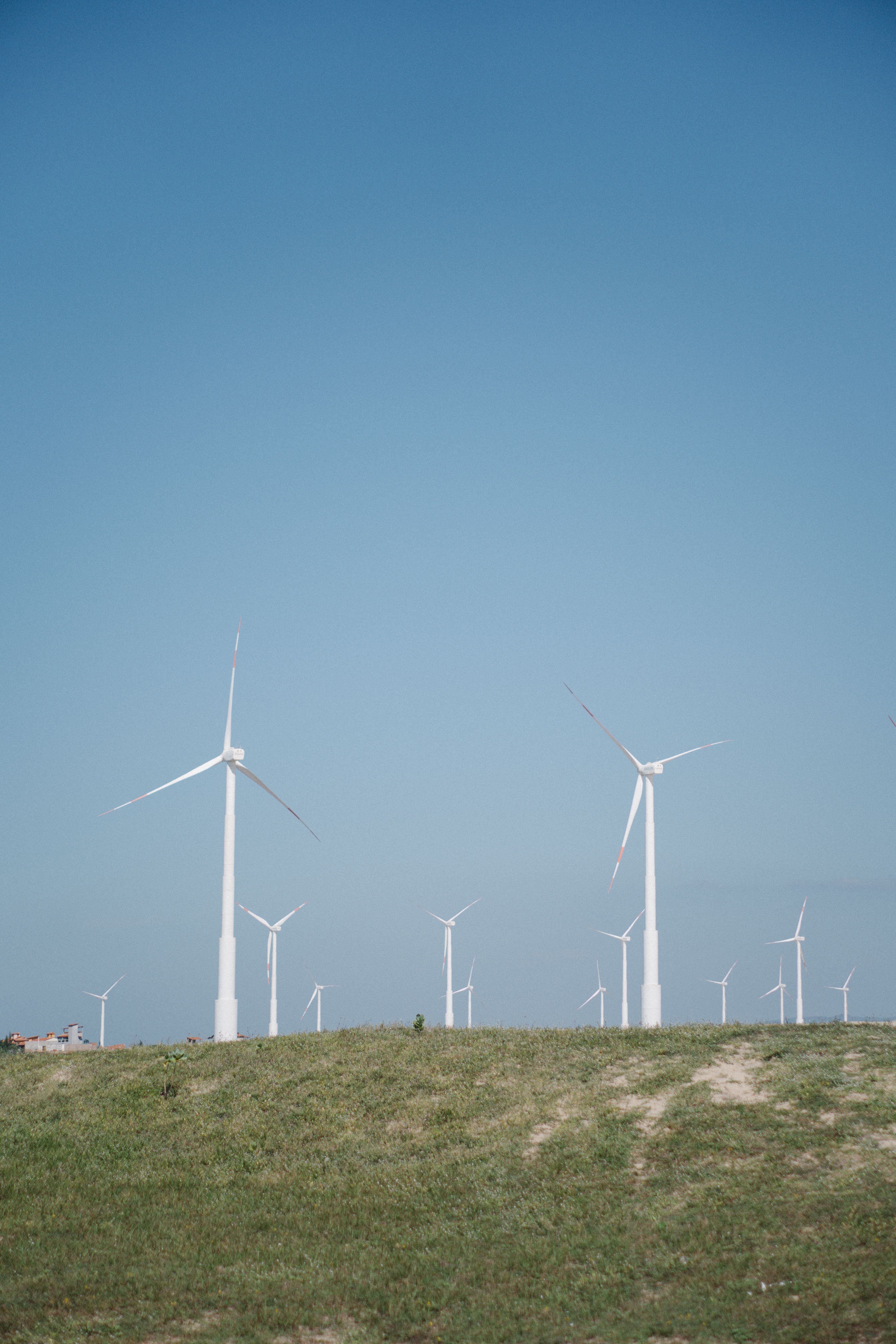Wind turbines in a peaceful rural field under a clear blue sky, representing clean energy.