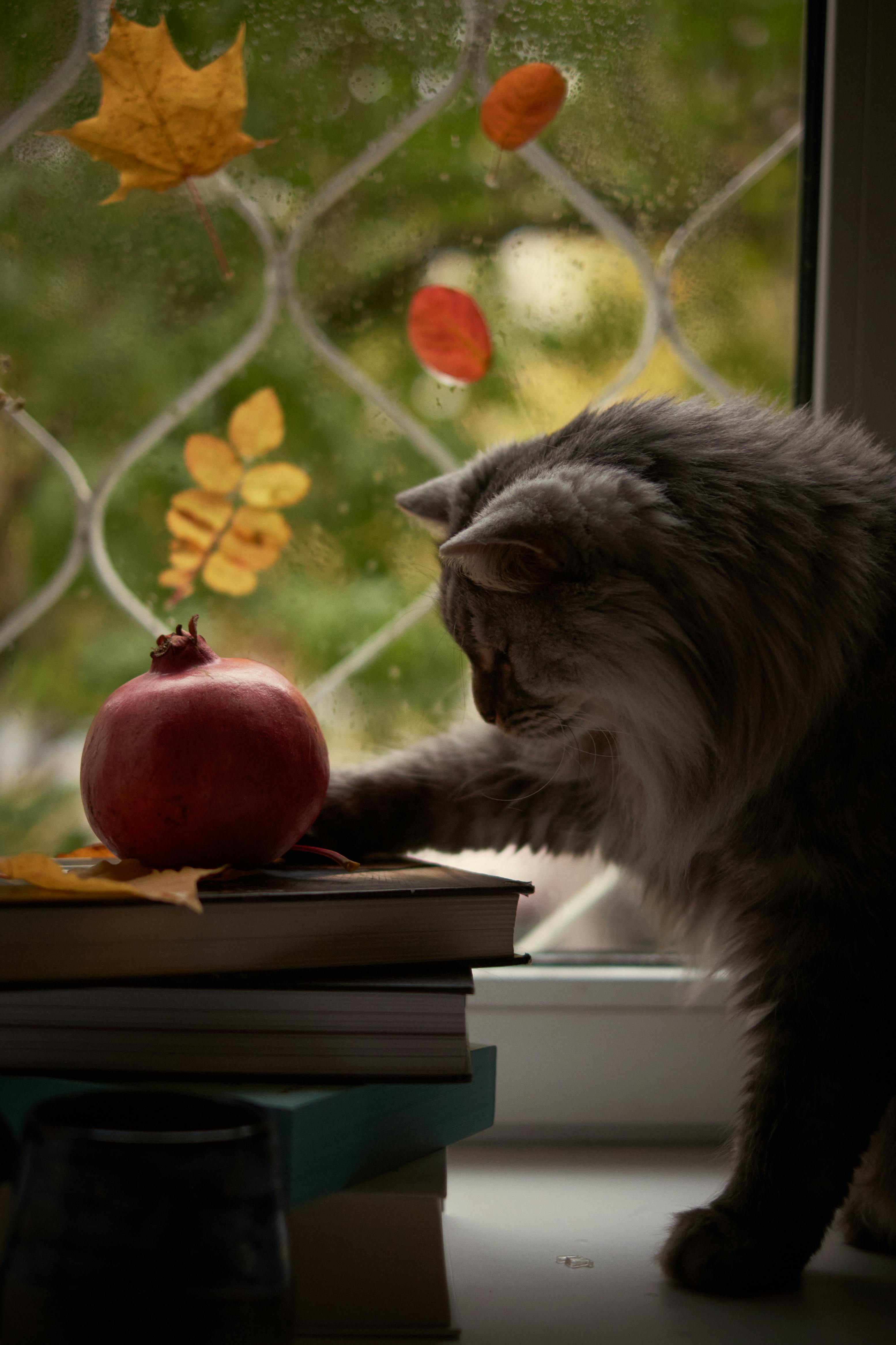 Margarita Kainova Photography