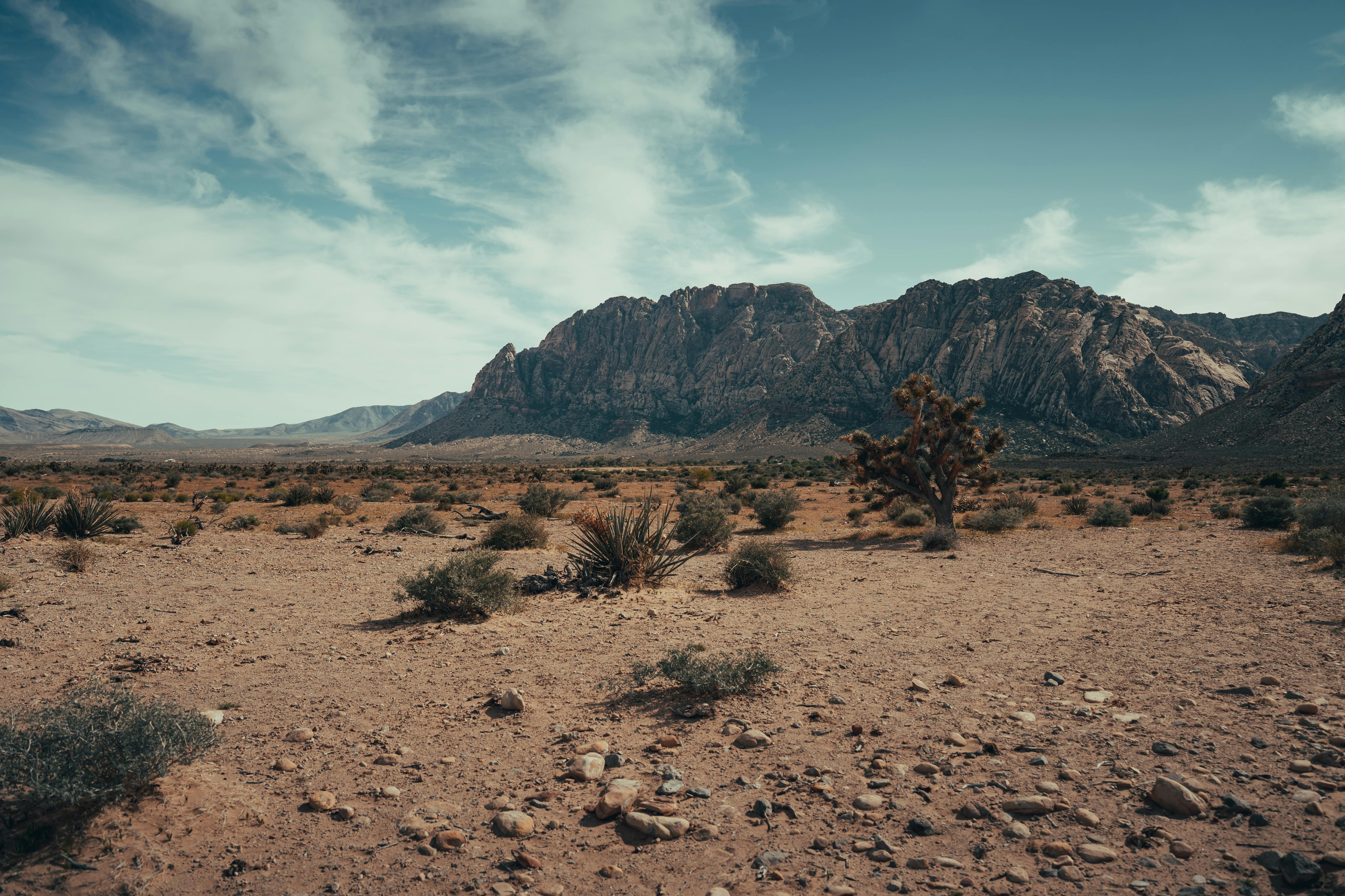 Mojave Desert landscape with volcanic tuff rock formations