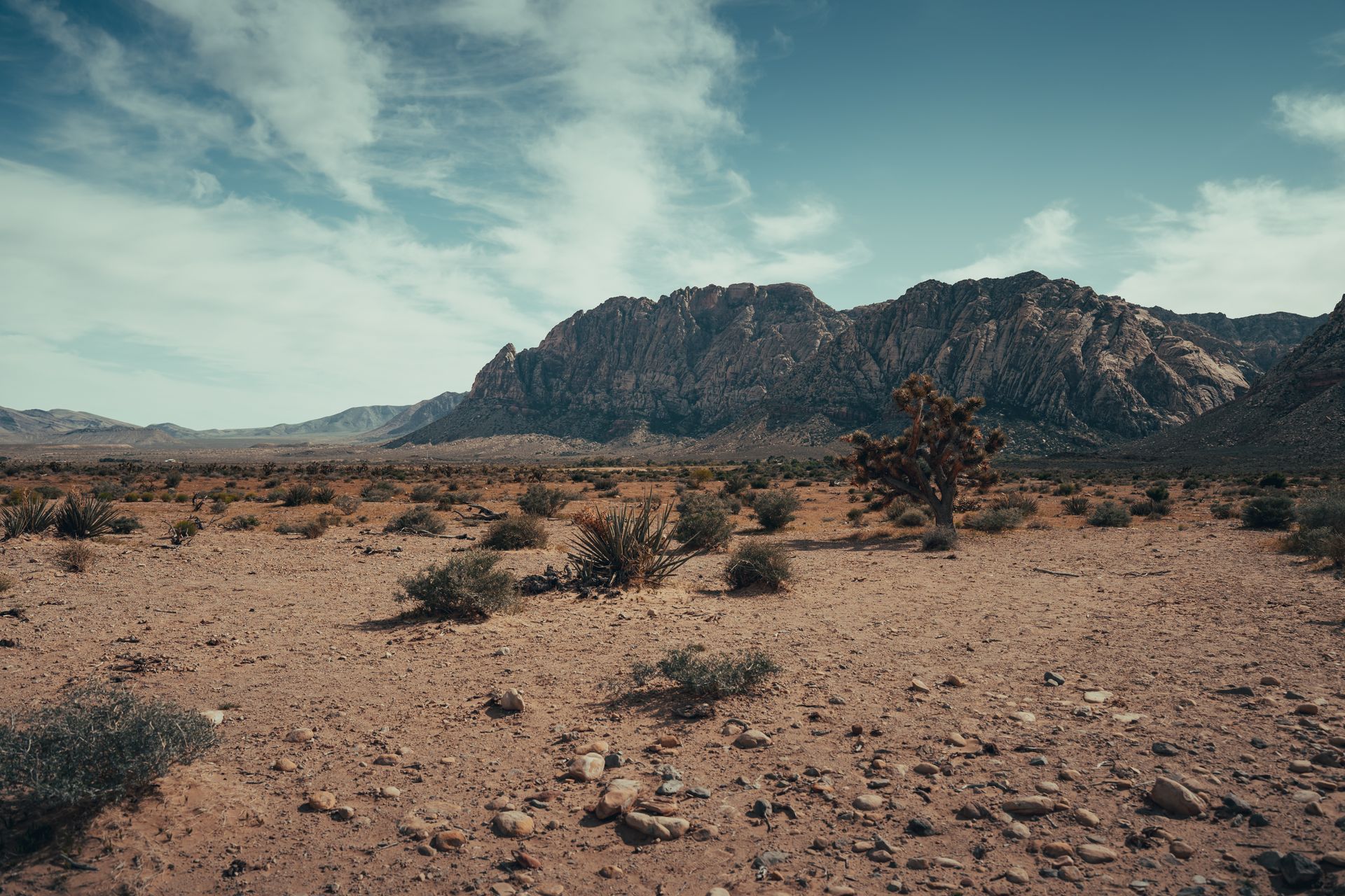 Mojave Desert landscape with volcanic tuff rock formations