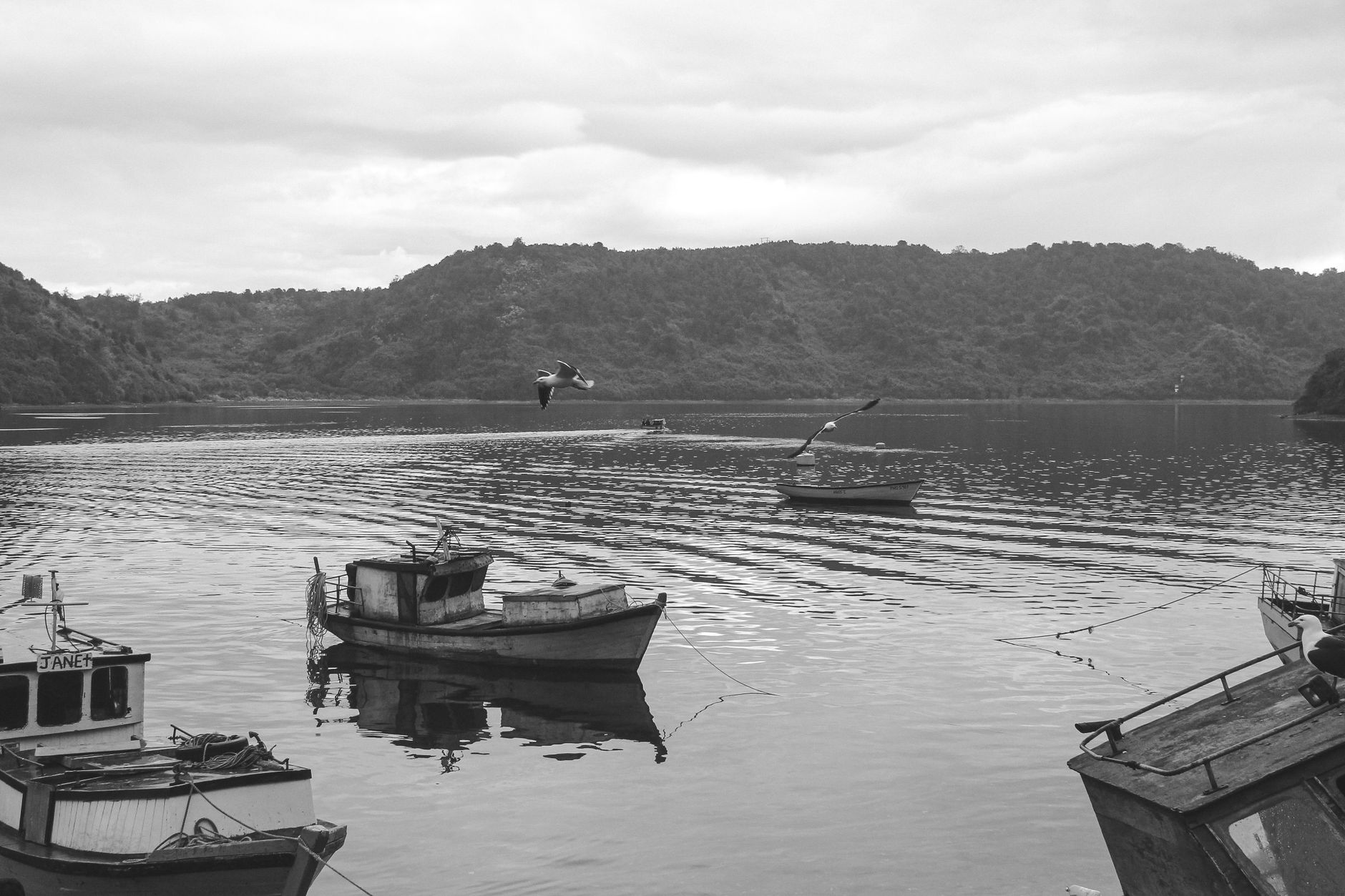 Black and white photo of fishing boats in Puerto Montt harbor. Serene landscape with mountains.