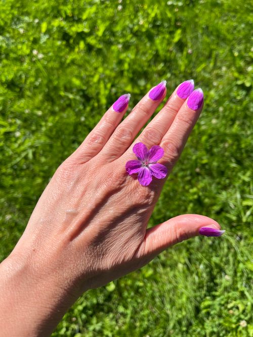 Free hand and flower Stock Photo
