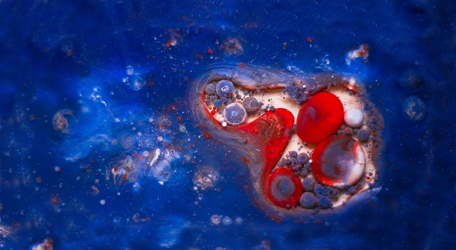 The New Blue: How Scientists Taught Bacteria to Make a Superfood Color That Could Change Your Grocery Aisle