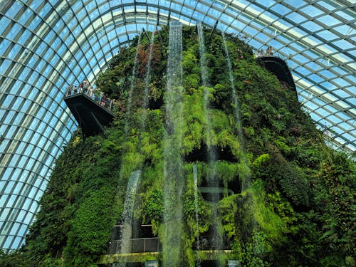 Green House Fountain