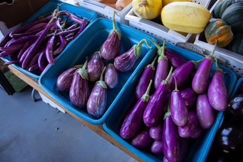 Gratis lagerfoto af afgrøder, auberginer, butternut squash