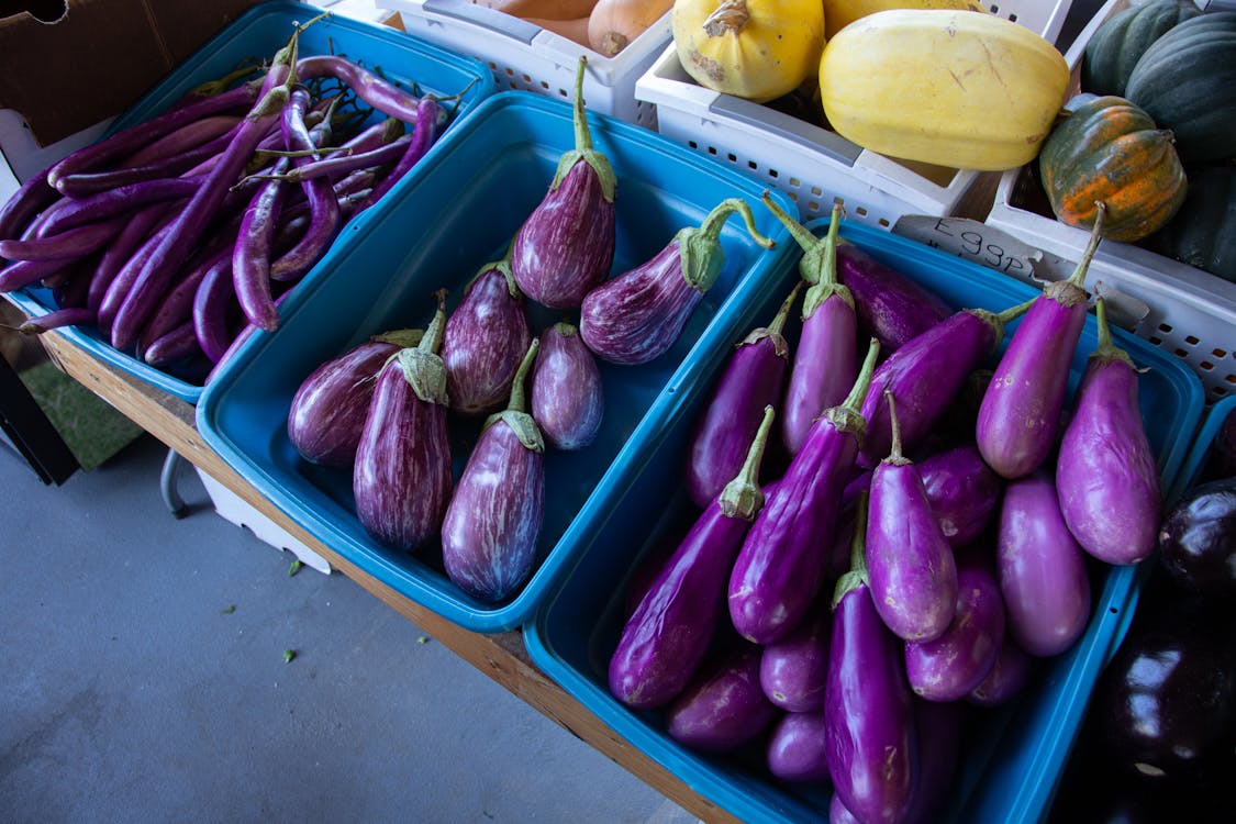 aubergine curry