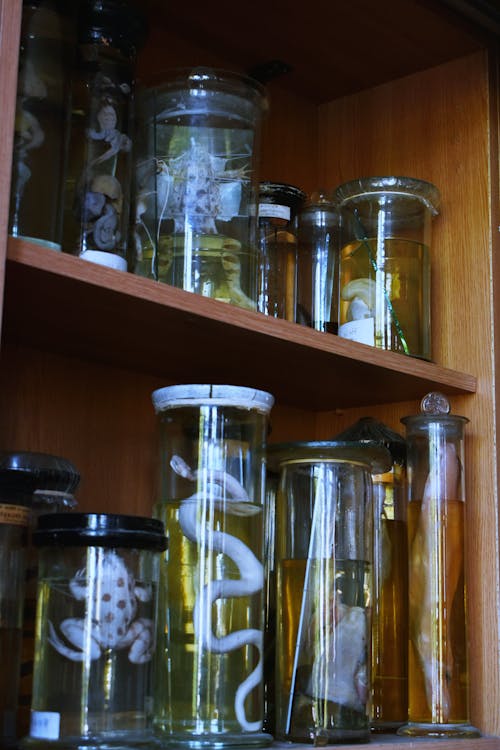 Glass Containers