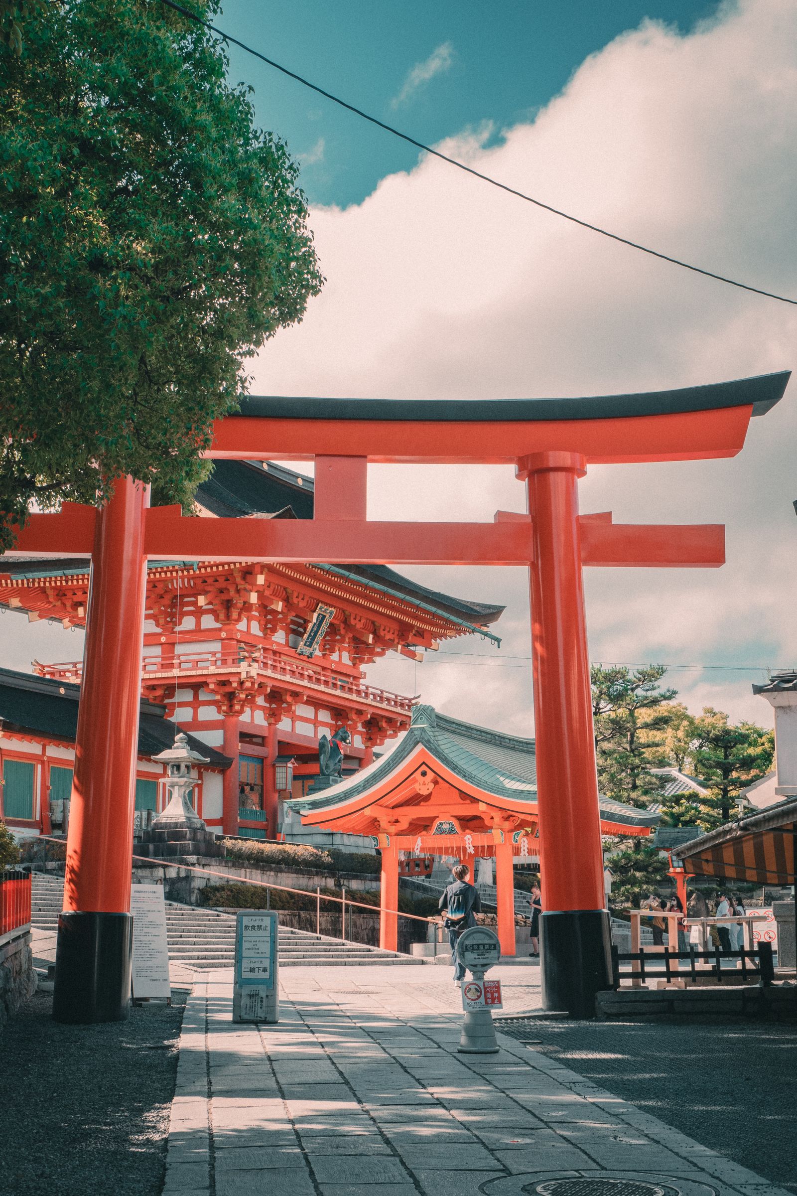 Torii gates at Fushimi Inari Shrine, Kyoto