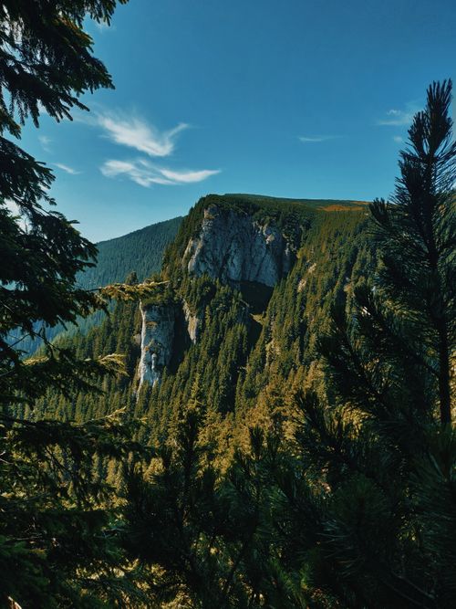Free Idyllic mountain view with dense forest in Bicaz, Romania, under a clear blue sky. Stock Photo
