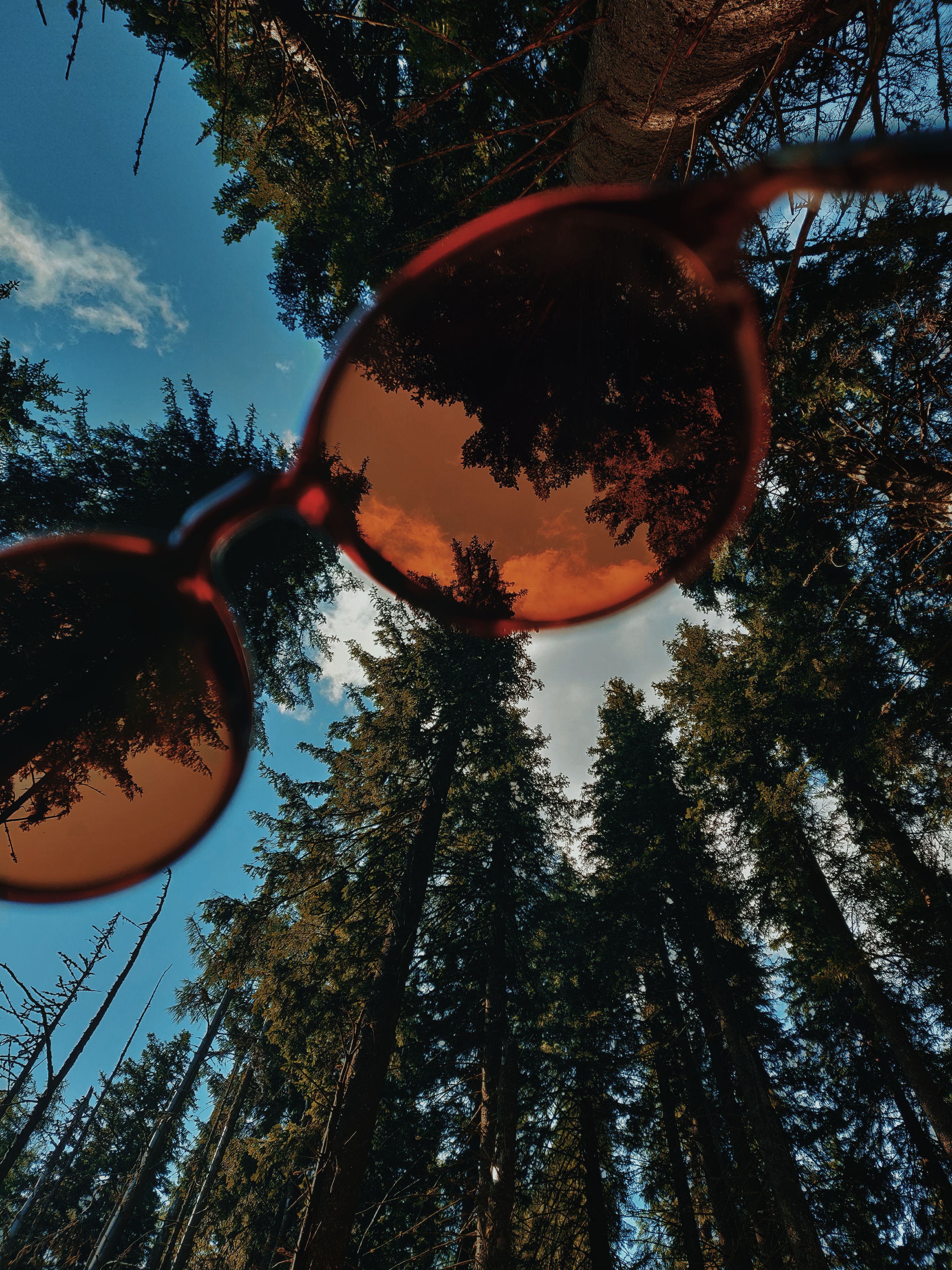 Unique perspective of tall pine trees viewed through red sunglasses lenses.