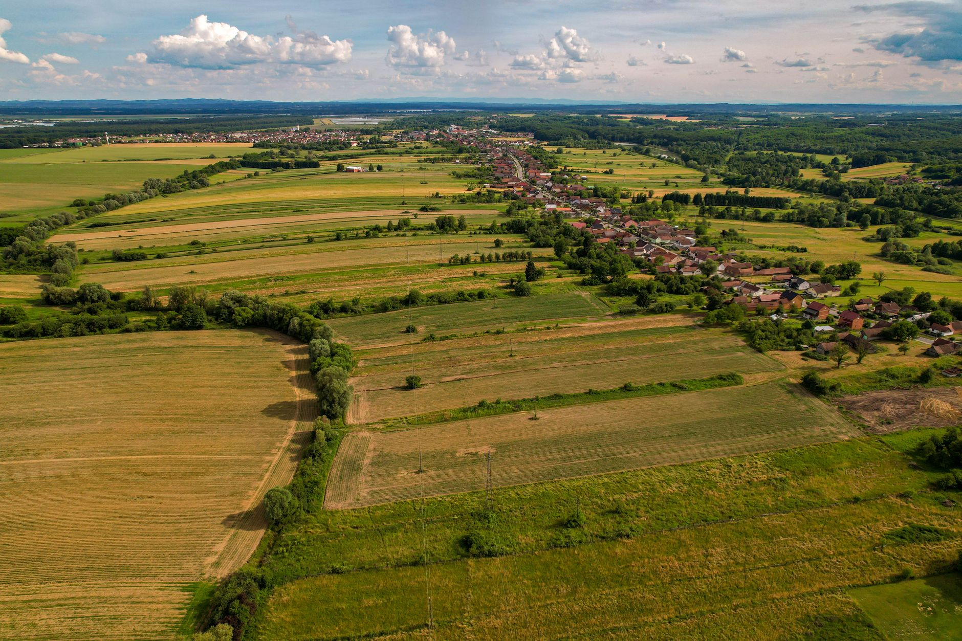 Osecka Zemedelska A Obchodni Spolecnost AS Overview with Details