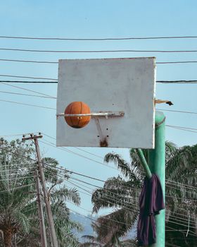 A basketball mid-shot against a clear blue sky, framed by palm trees.