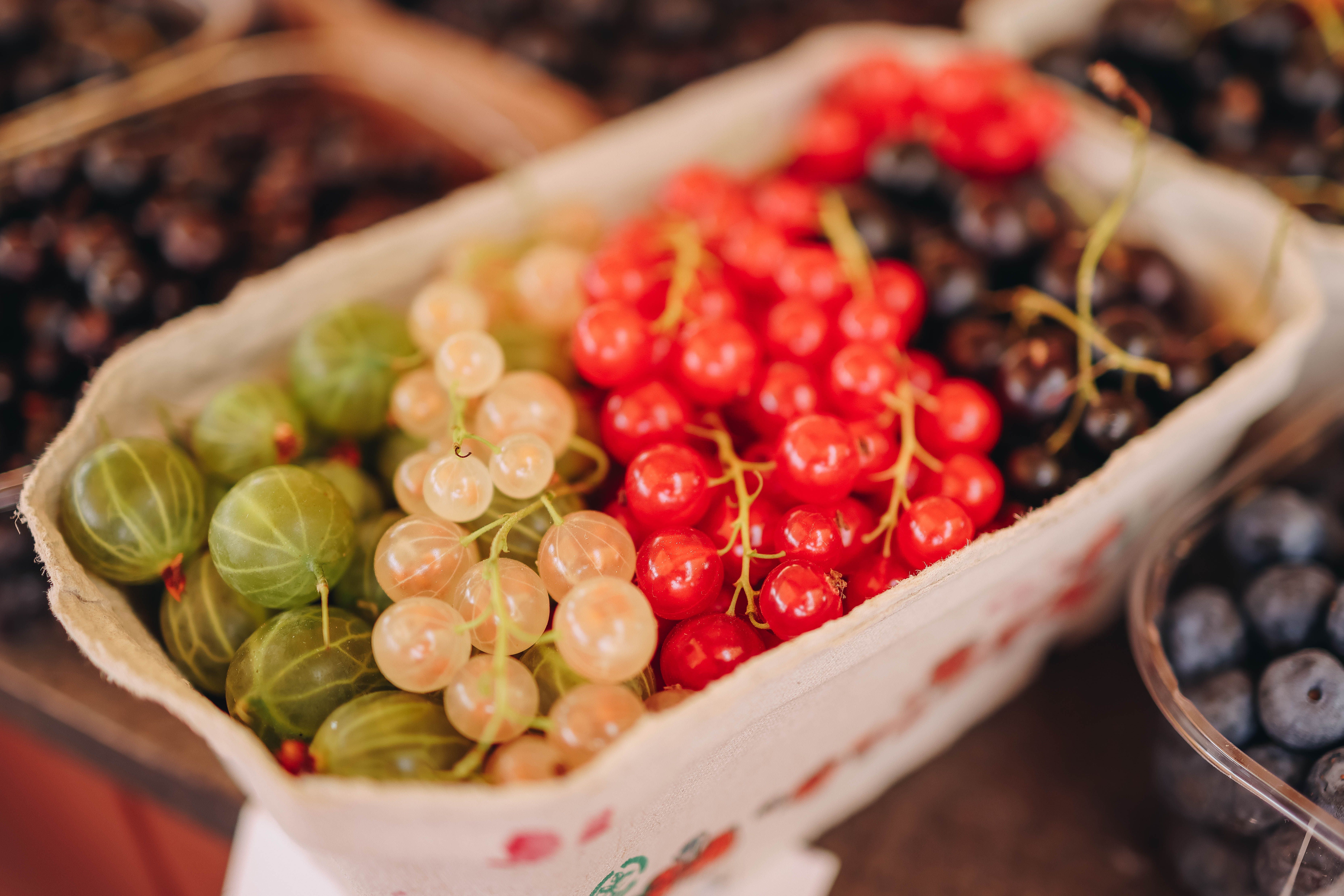 Close-up of a Container with Gooseberries · Free Stock Photo