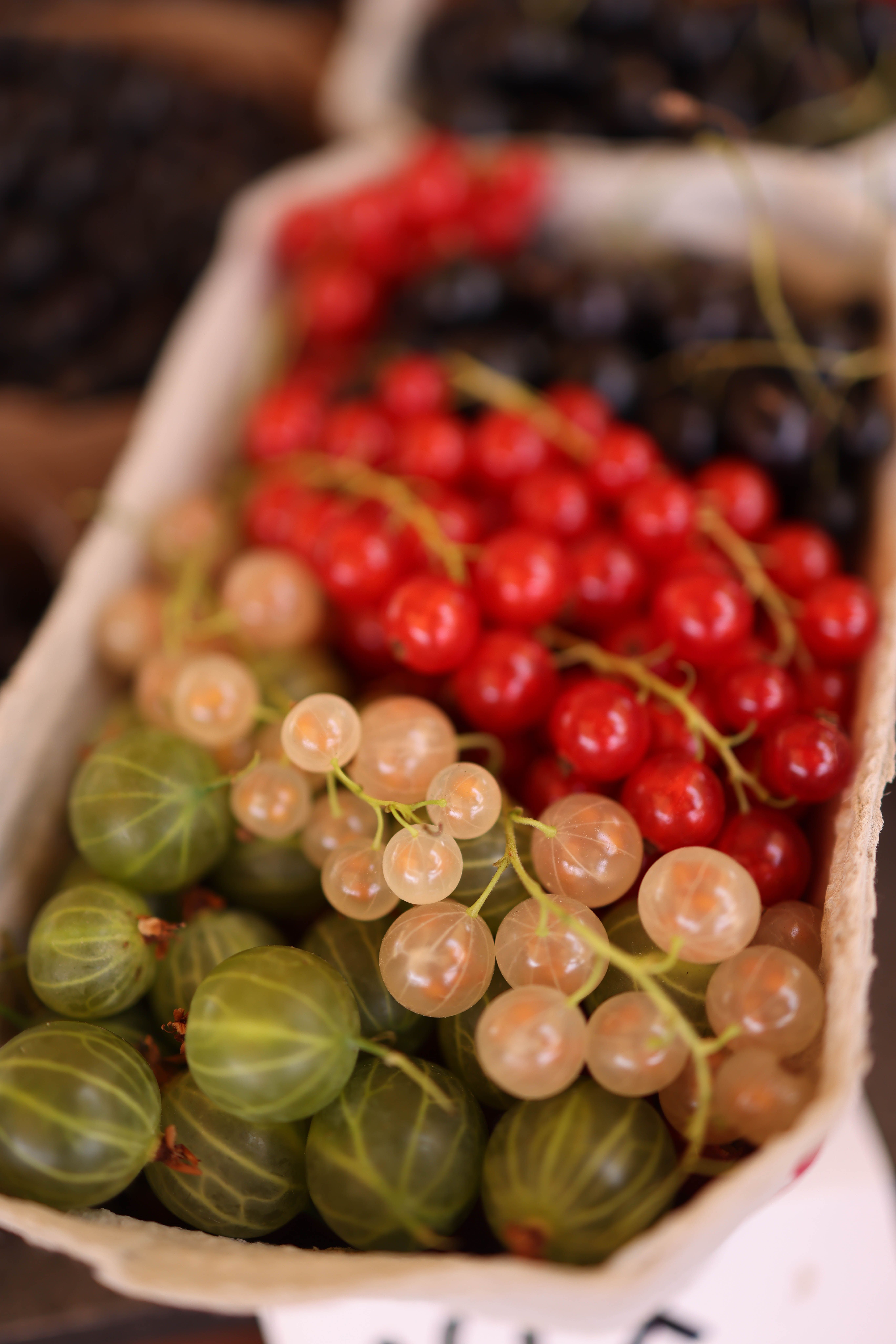 Close-up of fresh red, green, and black currants on display at a local market.