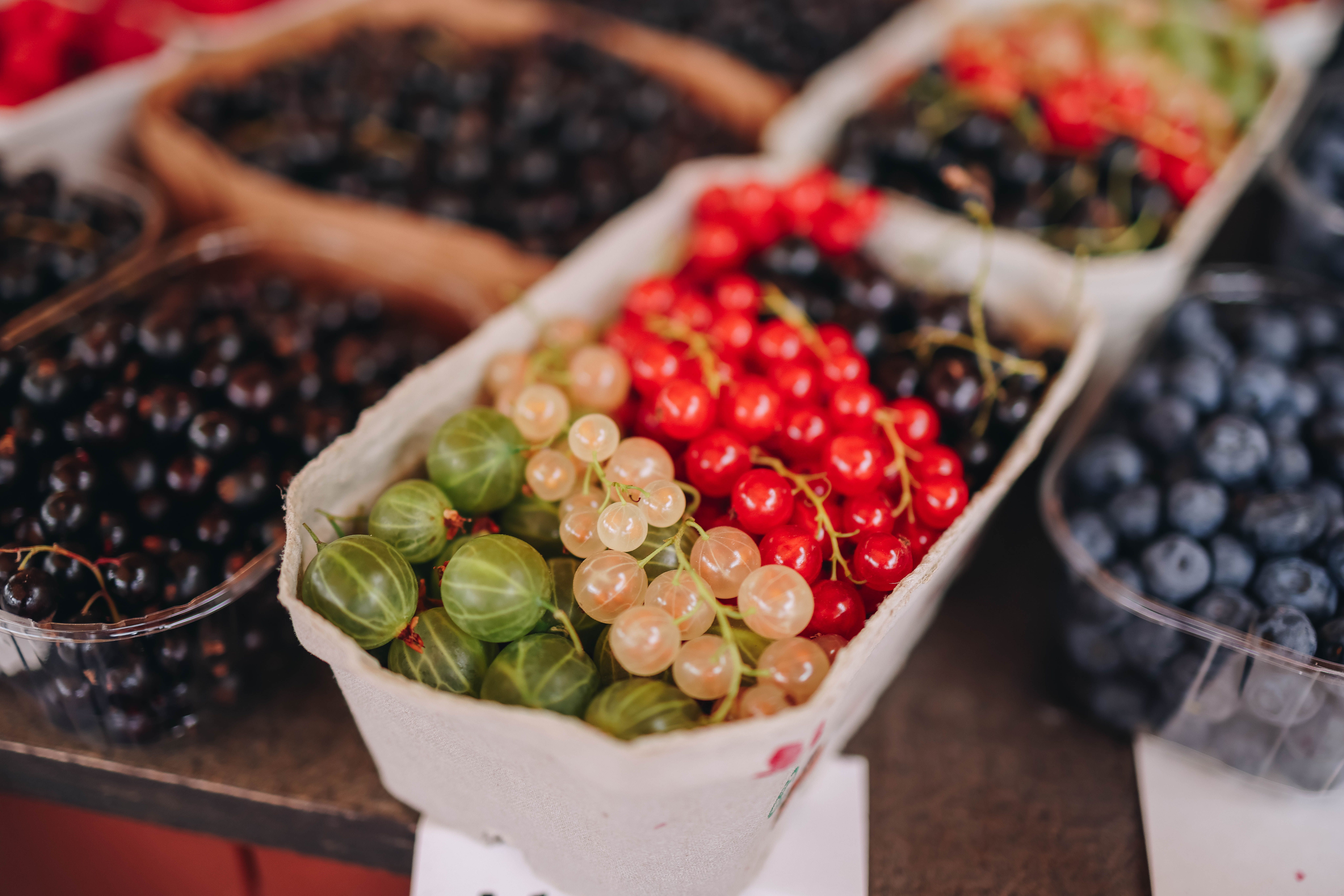 Tallinn food scene 2