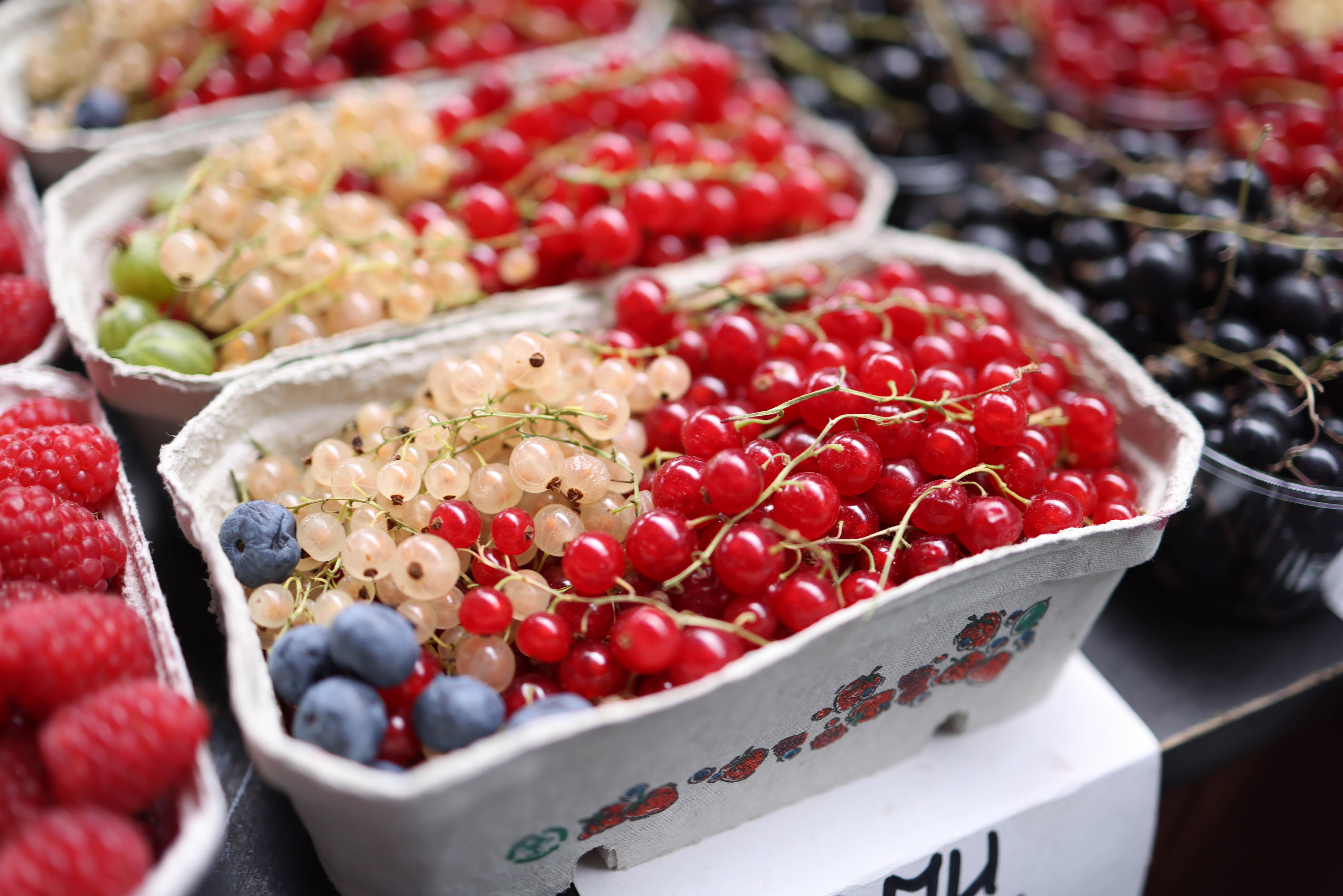 Culture and food in Tallinn