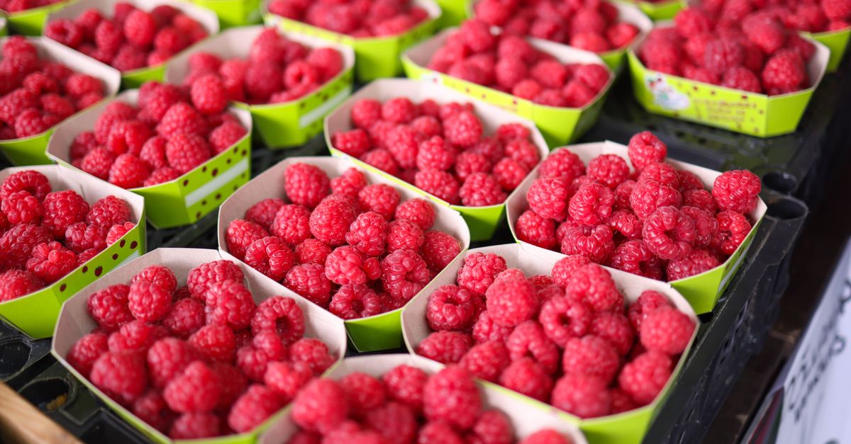 Comment choisir des produits bio rentables pour votre e-commerce