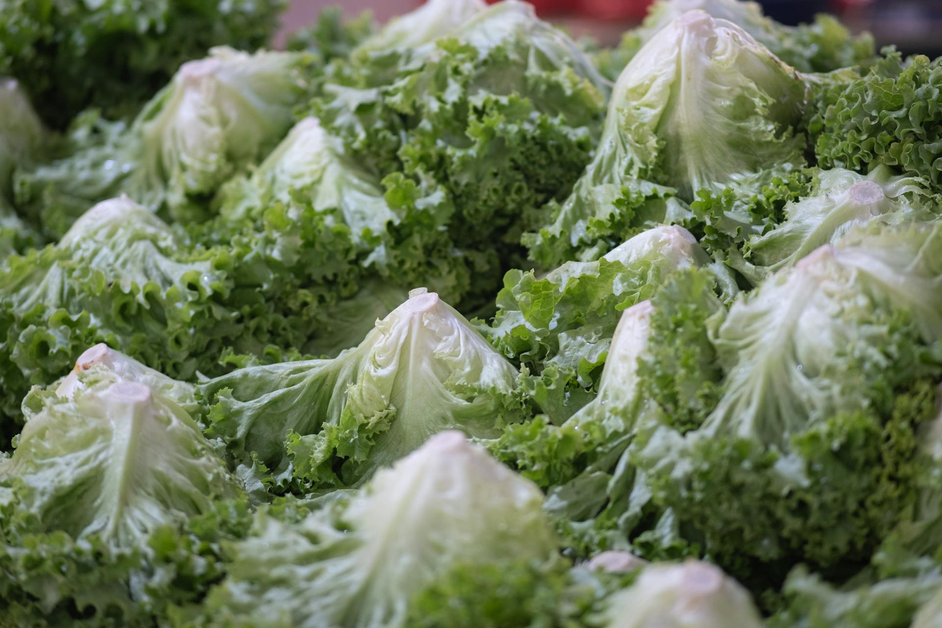 Lettuce on Display
