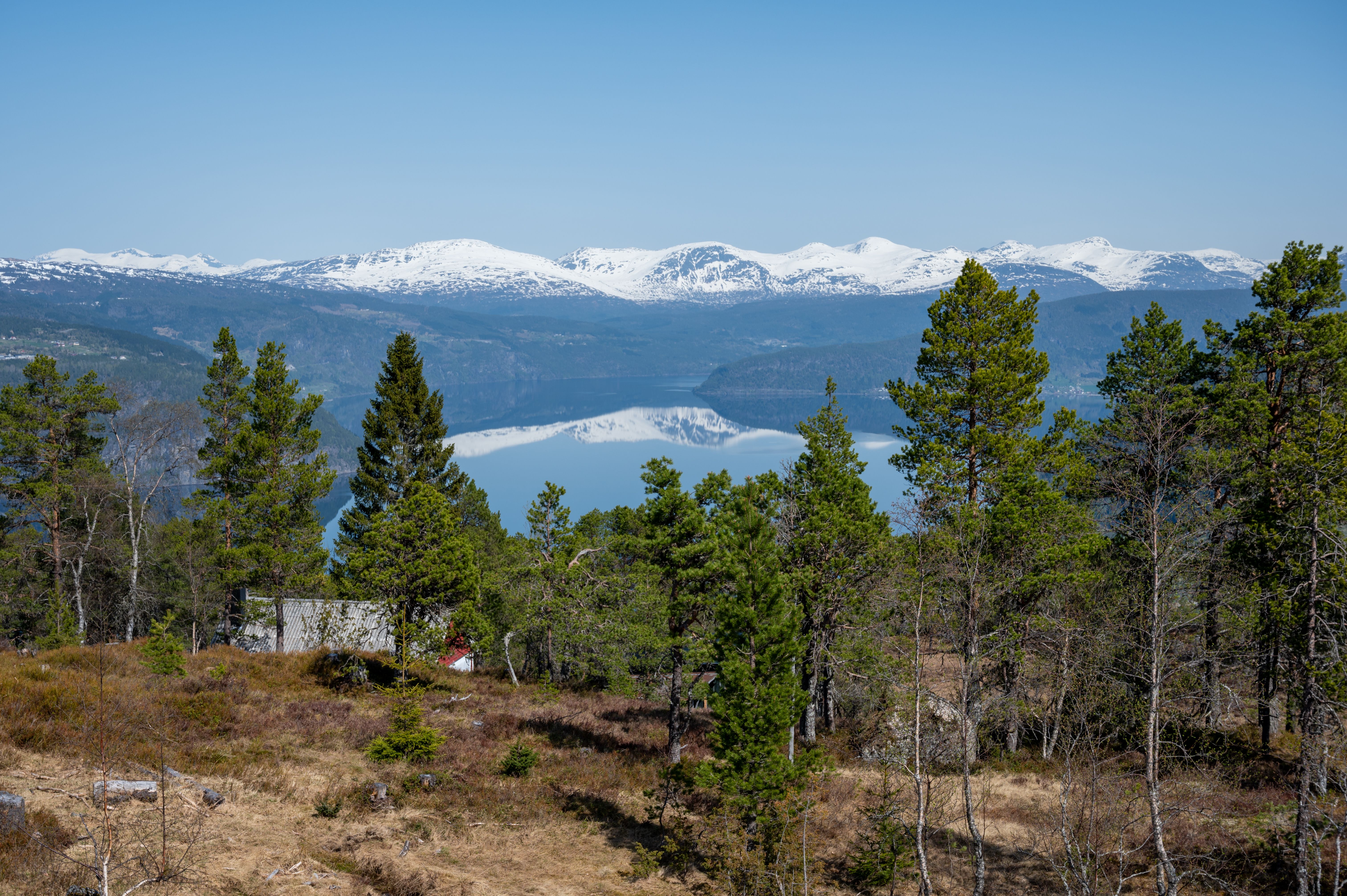 Familie på tur ved norsk fjord