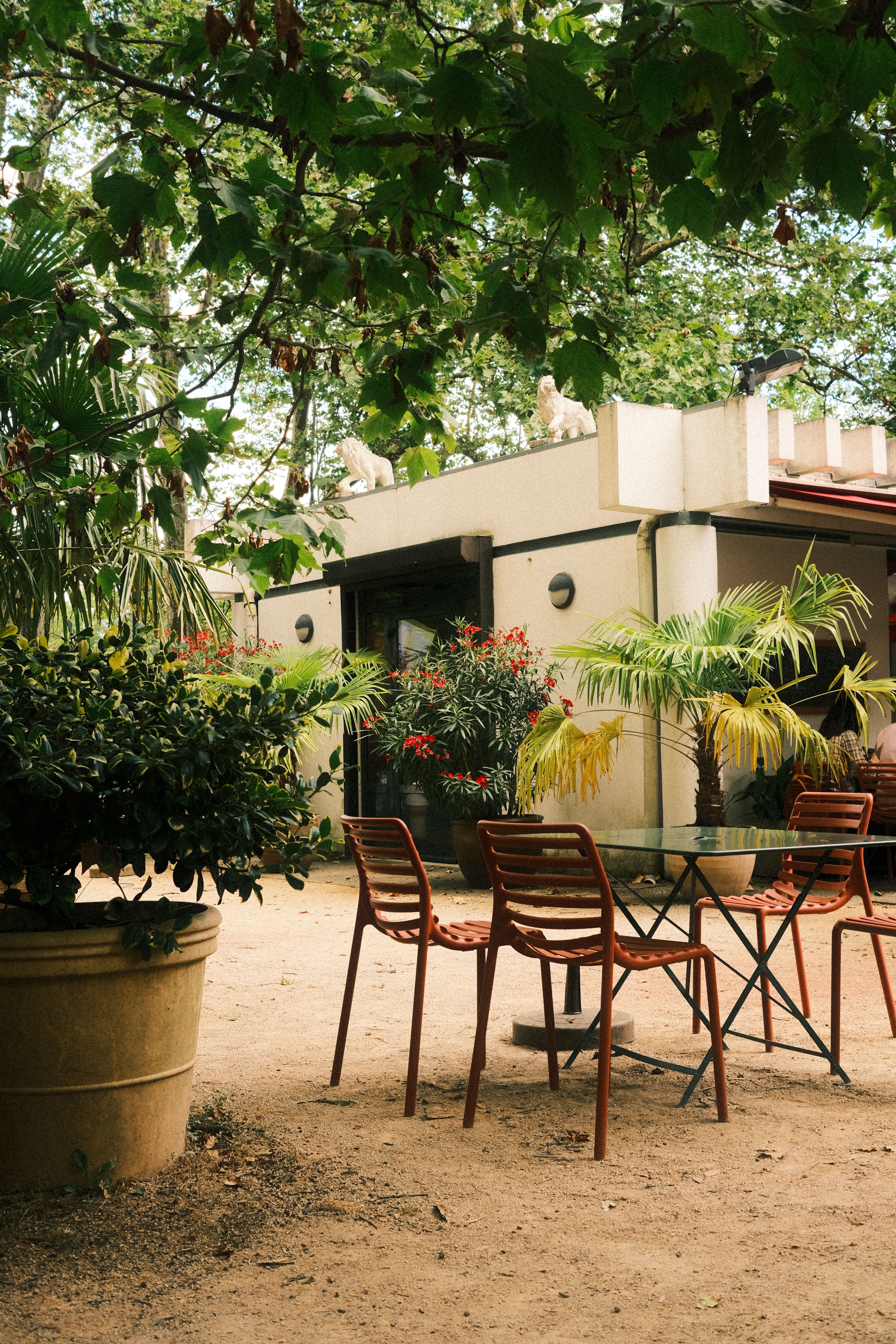 Tranquil outdoor garden setting with chairs and a table under lush foliage on a sunny summer day.