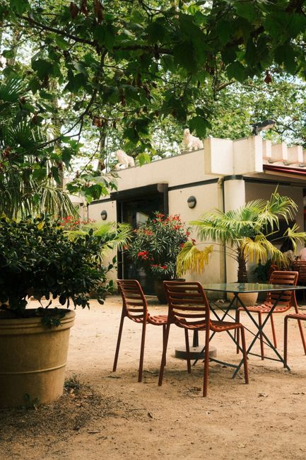 Tranquil outdoor garden setting with chairs and a table under lush foliage on a sunny summer day.