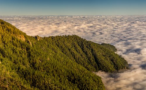 Free Stunning aerial view of a lush mountain forest emerging above a blanket of clouds. Stock Photo