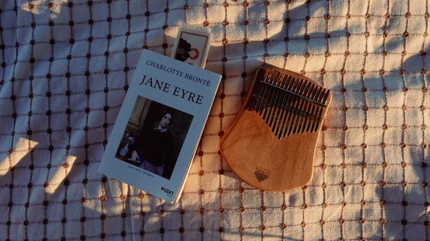 charlotte bronte portrait