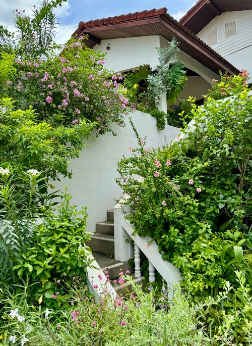 Free Charming garden stairway enveloped in vibrant blooming flowers creating a serene natural ambiance. Stock Photo