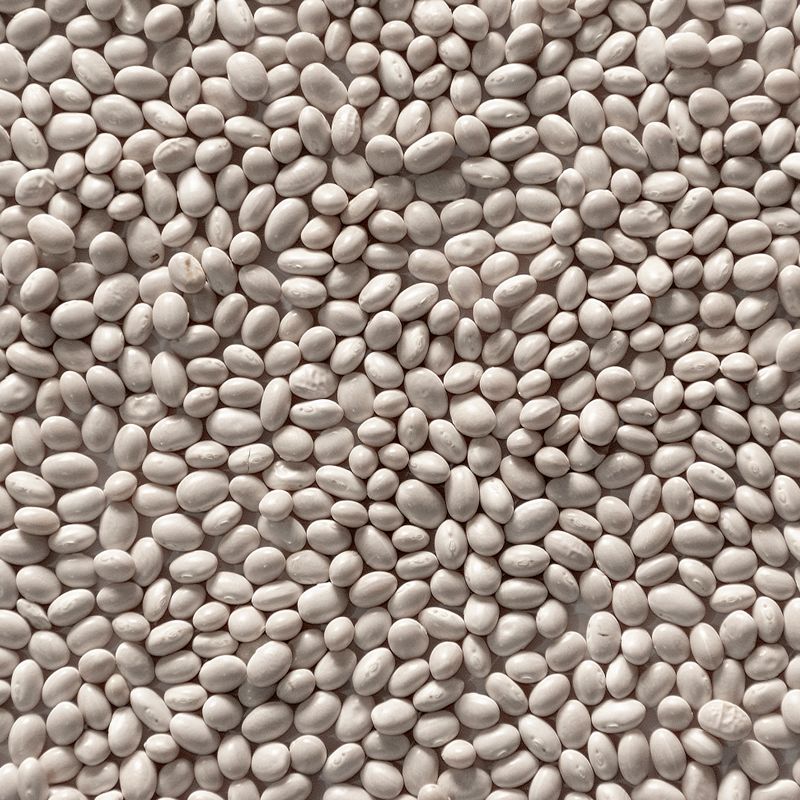 White Beans à la Bretonne
