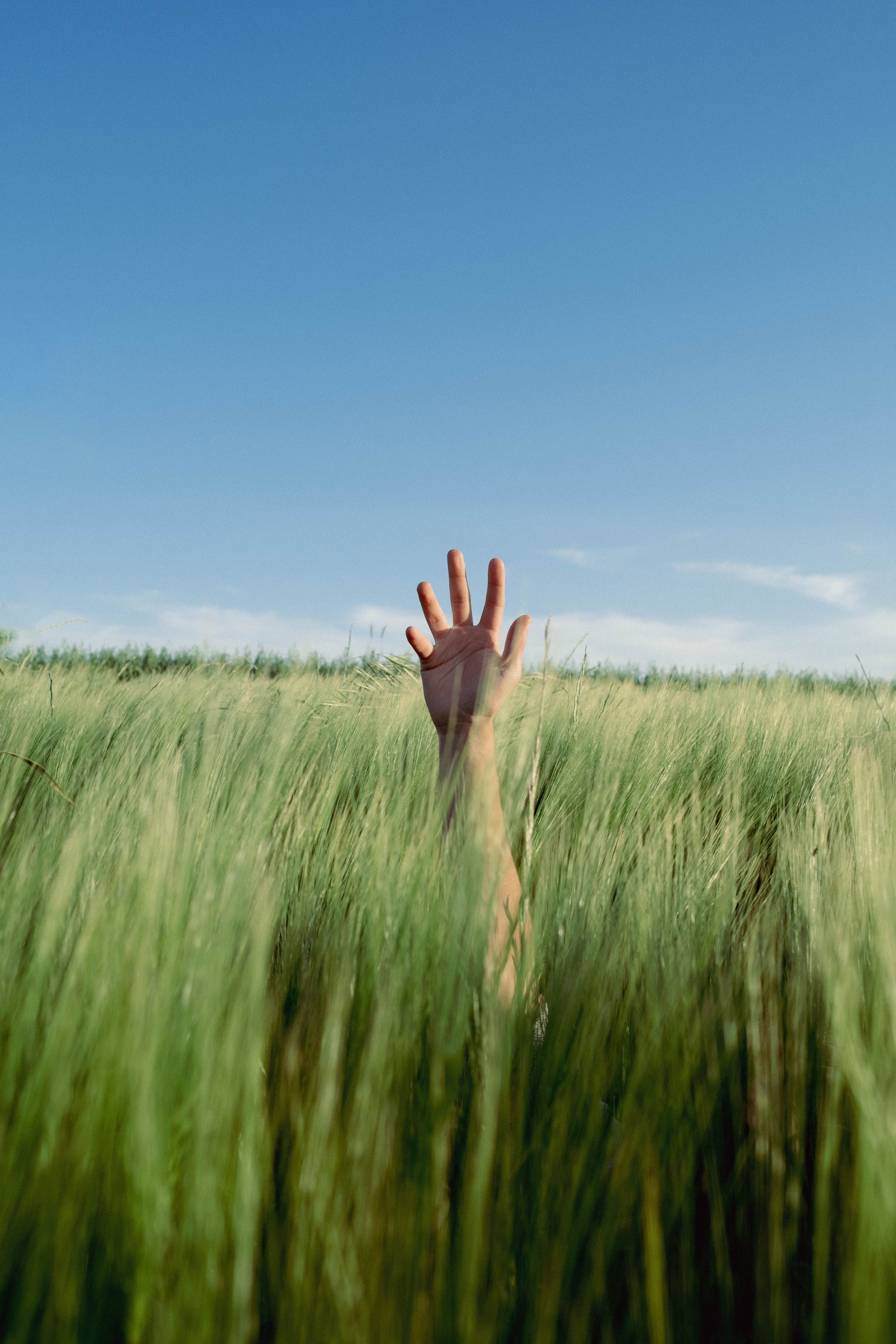 A person's hand reaching out in a field · Free Stock Photo