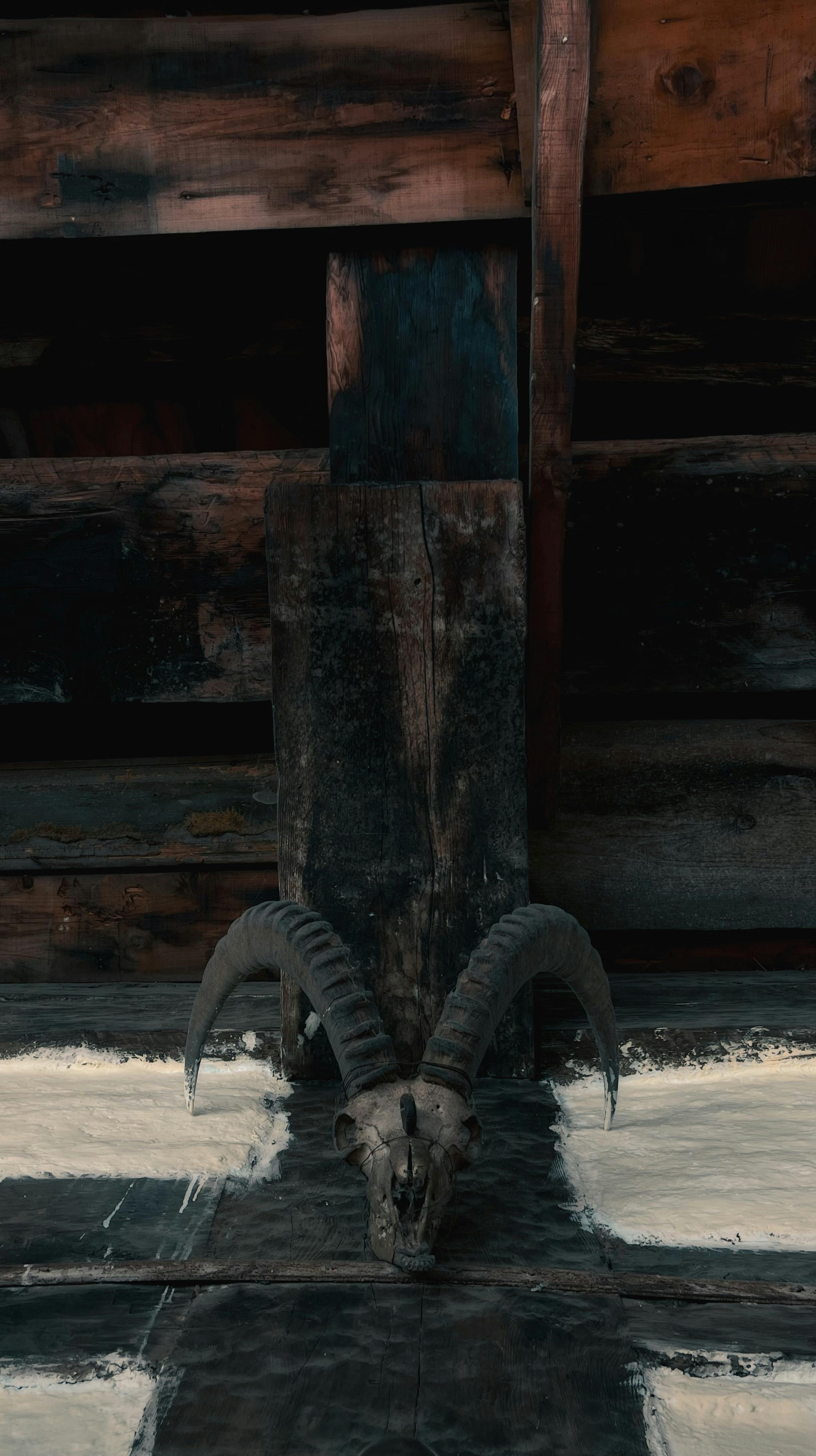 common:alt.prefix Foto d'estoc gratuïta de acollidora cabina, arquitectura, banyams common:alt.postfix