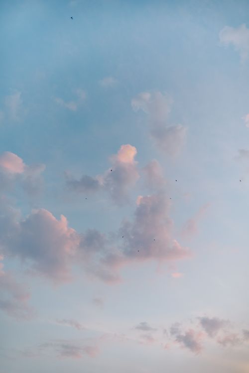 Free Soft pastel clouds with birds scattered in a serene blue sky. Stock Photo