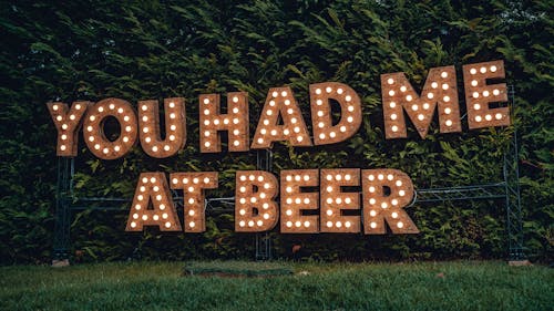 Free You Had Me At Beer Lighted Signage by the Trees Stock Photo
