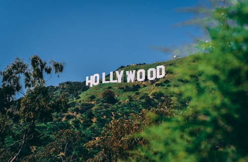 Free Hollywood Sign Stock Photo