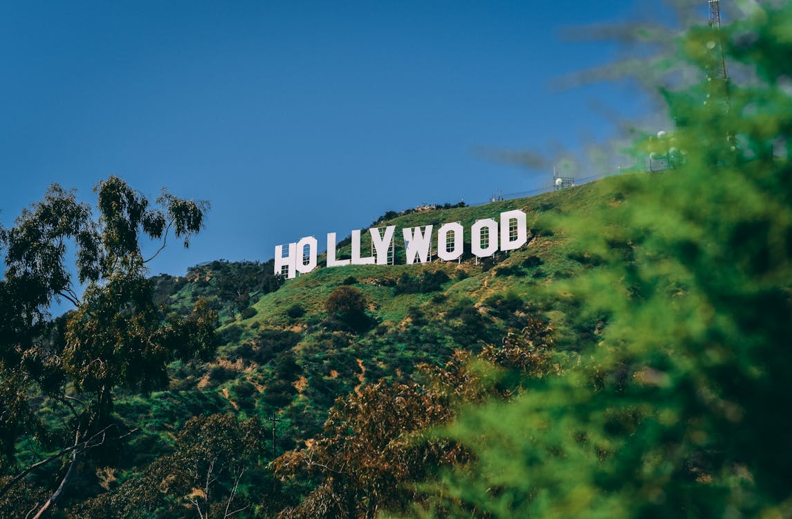 The Hollywood sign on the hill with greenery around it.