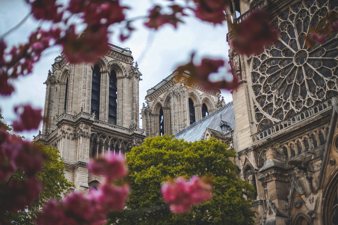 Gratis Foto De ángulo Bajo De Notre Dame Foto de stock