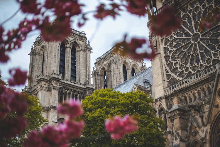 Low-Angle Photo Of Notre Dame