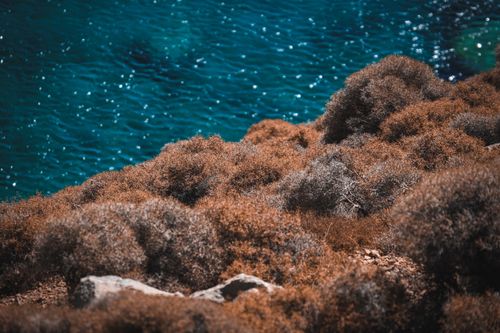 Free Stunning view of a rugged cliff with dry foliage overlooking crystal clear blue ocean waters. Stock Photo