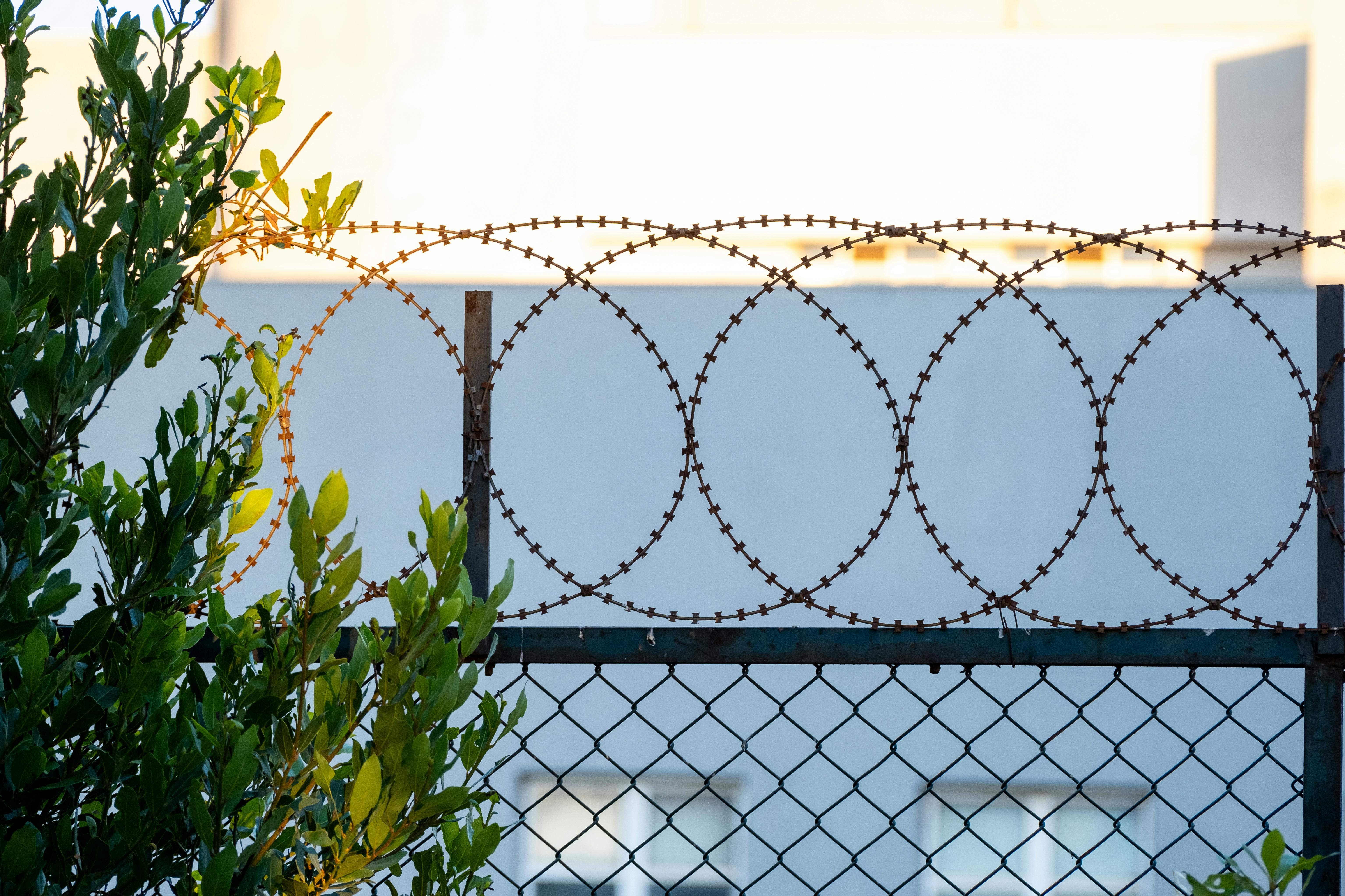 barbwire on fence